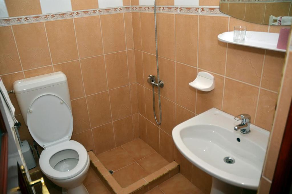 Pensiunea La Palaguta Baia Mare Habitación foto