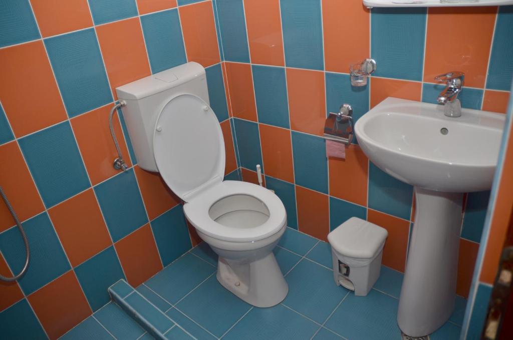 Pensiunea La Palaguta Baia Mare Habitación foto